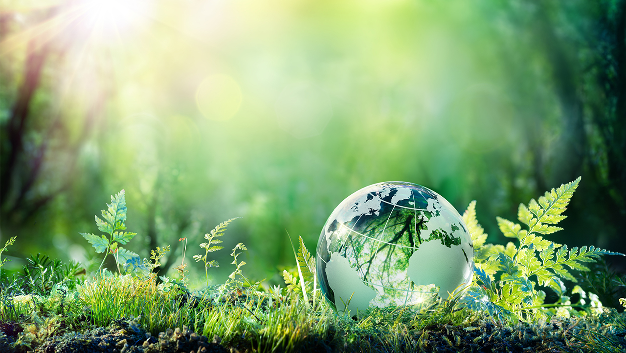 Focusing on sustainable resources and products 