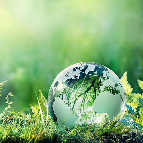 Focusing on sustainable resources and products