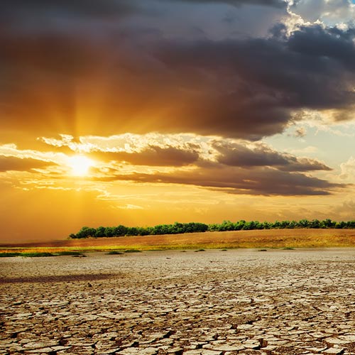 A green risk management model