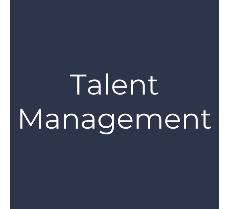 P4 - Talent Management