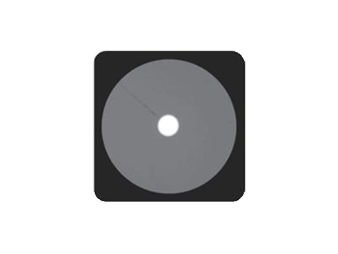 Few-Mode Fibers (FMFs)