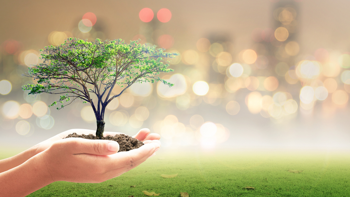 Urban Sustainability