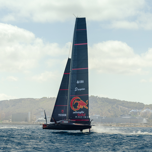 Alinghi