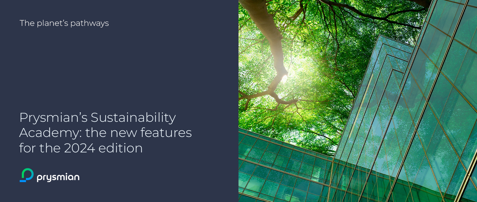 Prysmian’s Sustainability Academy: the new features for the 2024 edition