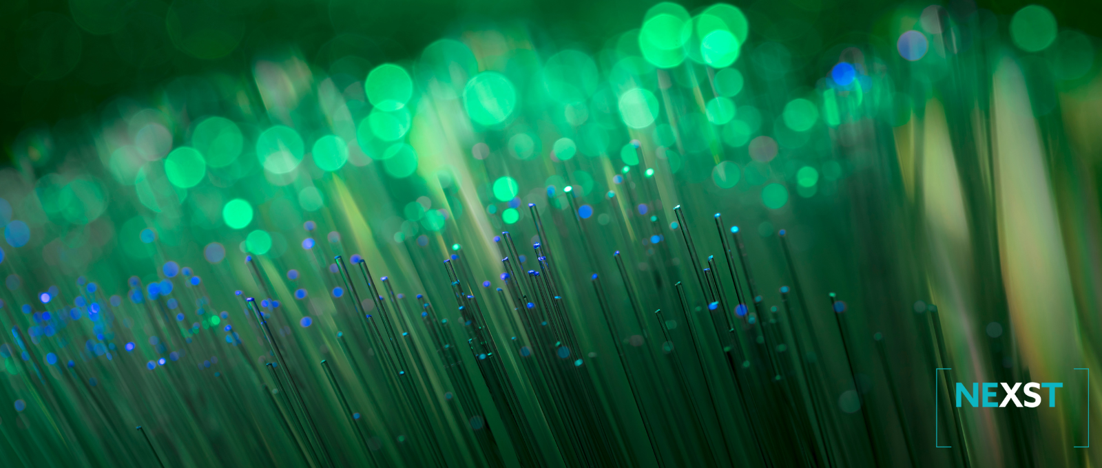 Fibre paramount to Zero Carbon Footprint