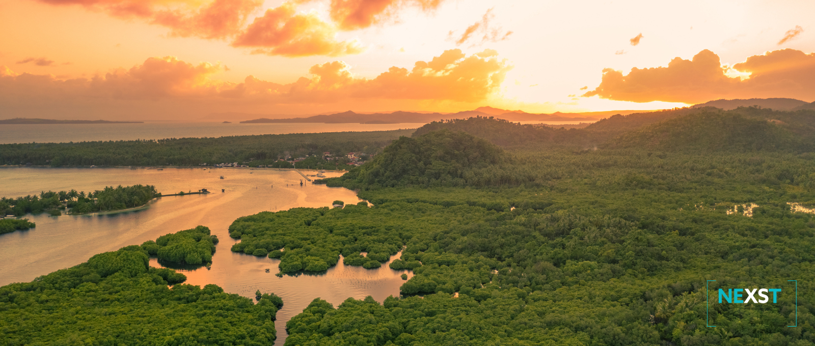 Amazon Region