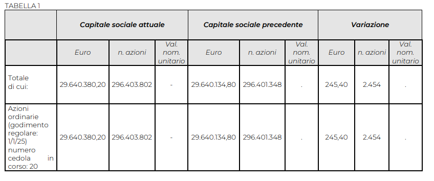 share capital table 1