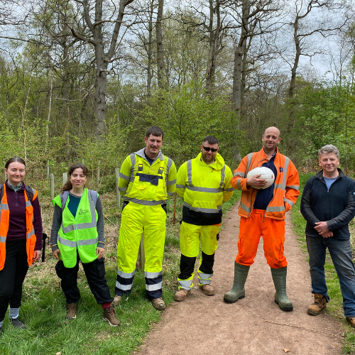 Project team carry out woodland volunteering at Gifford Community Woodland - preview