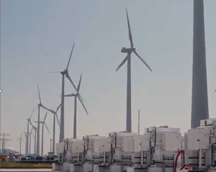 Project Mufasa, The Netherlands